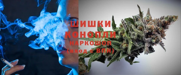 ПСИЛОЦИБИНОВЫЕ ГРИБЫ Алексеевка