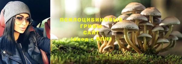ПСИЛОЦИБИНОВЫЕ ГРИБЫ Алексеевка