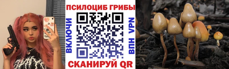Галлюциногенные грибы ЛСД  где купить наркоту  Алексеевка 